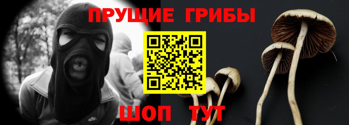 Галлюциногенные грибы Cubensis Обь